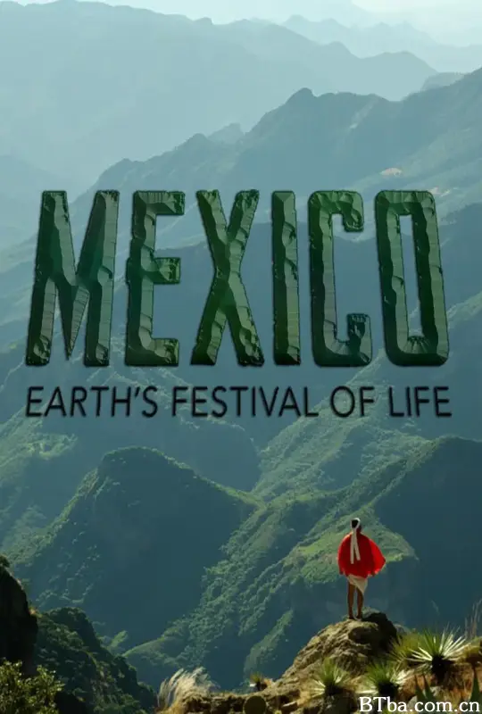 墨西哥：地球生命的狂欢/Mexico: Earth's Festival Of Life