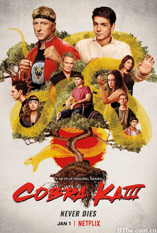 眼镜蛇 第三季/Cobra Kai Season 3