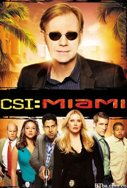 犯罪现场调查：迈阿密 第八季/CSI: Miami Season 8