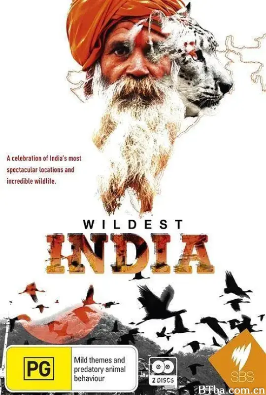 狂野印度/Wildest India