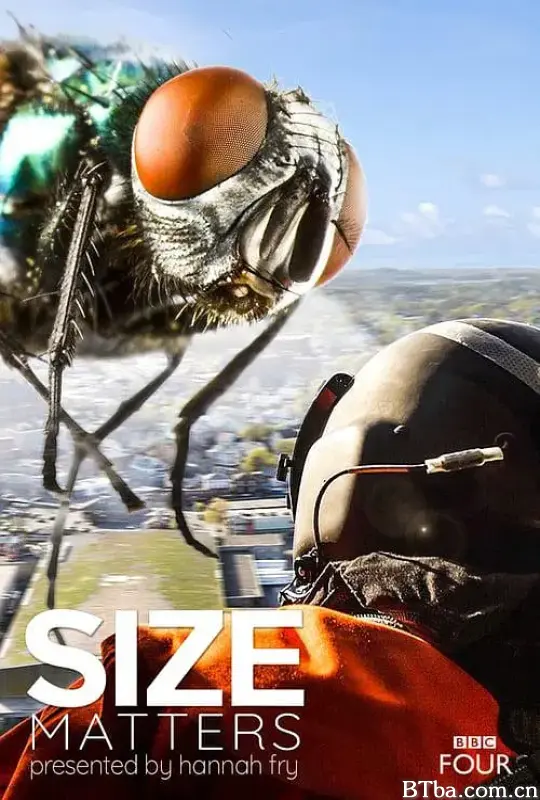 尺寸迷思/Size Matters