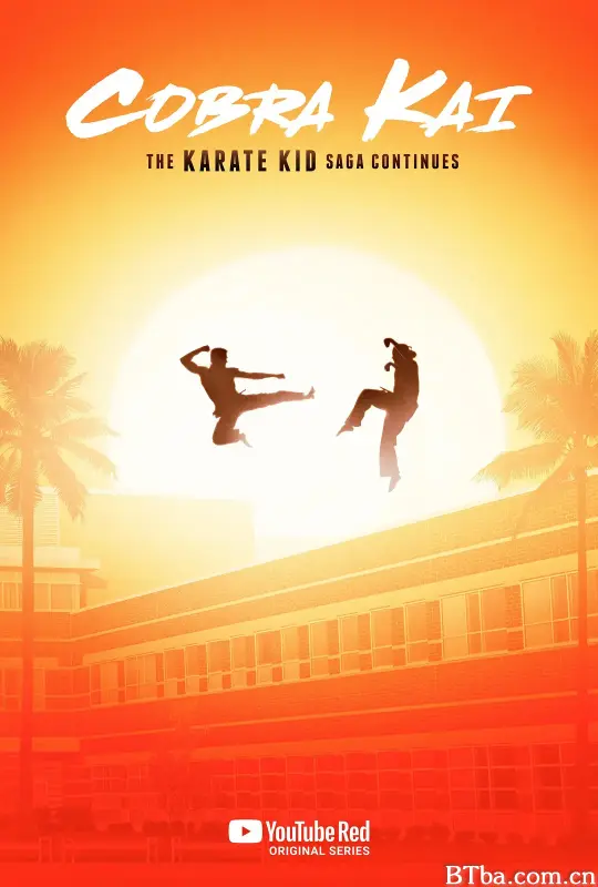 眼镜蛇 第一季/Cobra Kai Season 1