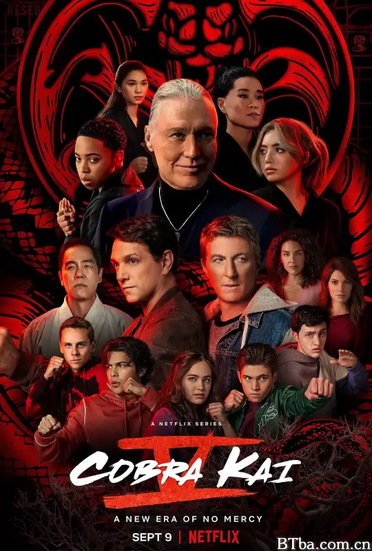 眼镜蛇 第五季/Cobra Kai Season 5
