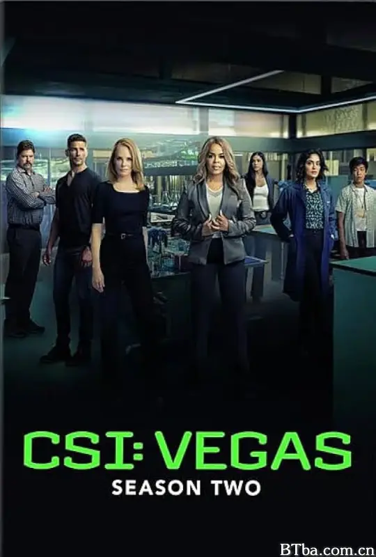 犯罪现场调查：维加斯 第二季/CSI: Vegas Season 2
