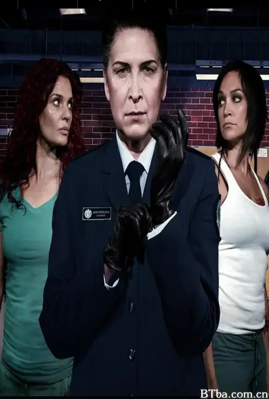 温特沃斯 第二季/Wentworth Season 2