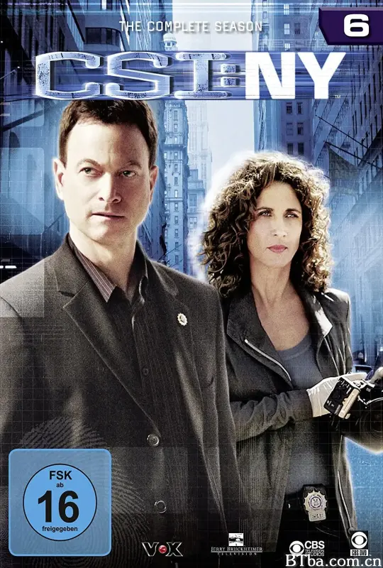 犯罪现场调查：纽约 第六季/CSI: NY Season 6