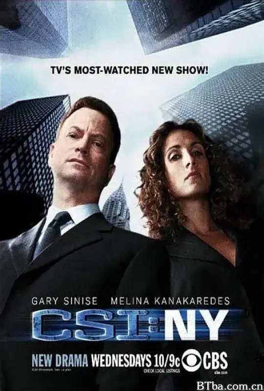 犯罪现场调查：纽约 第五季/CSI: NY Season 5