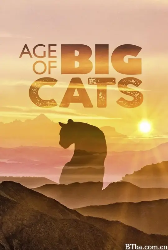 大猫时代/Age of Big Cats