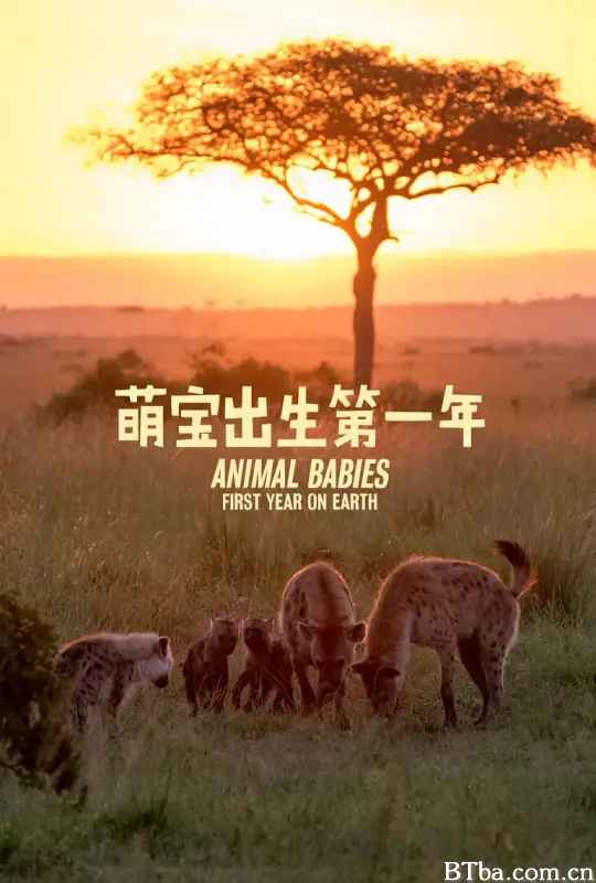 萌宝出生第一年/Animal Babies: First Year on Earth