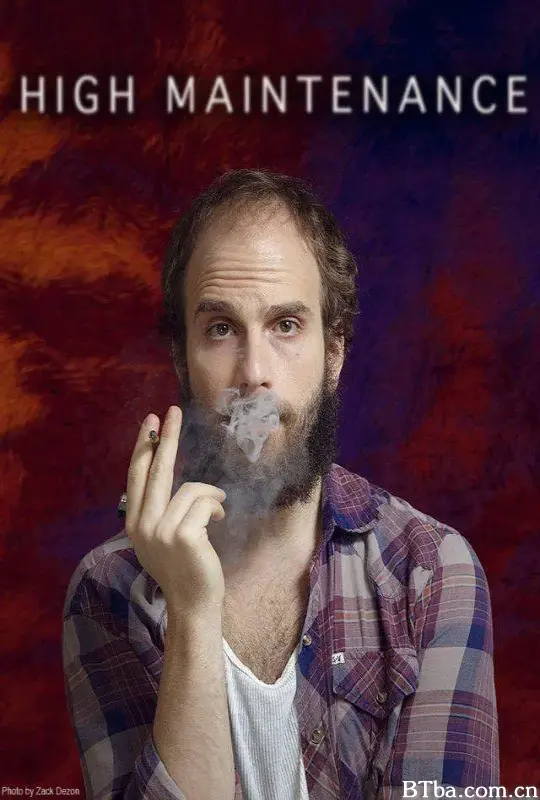 精心维护 第一季/High Maintenance Season 1