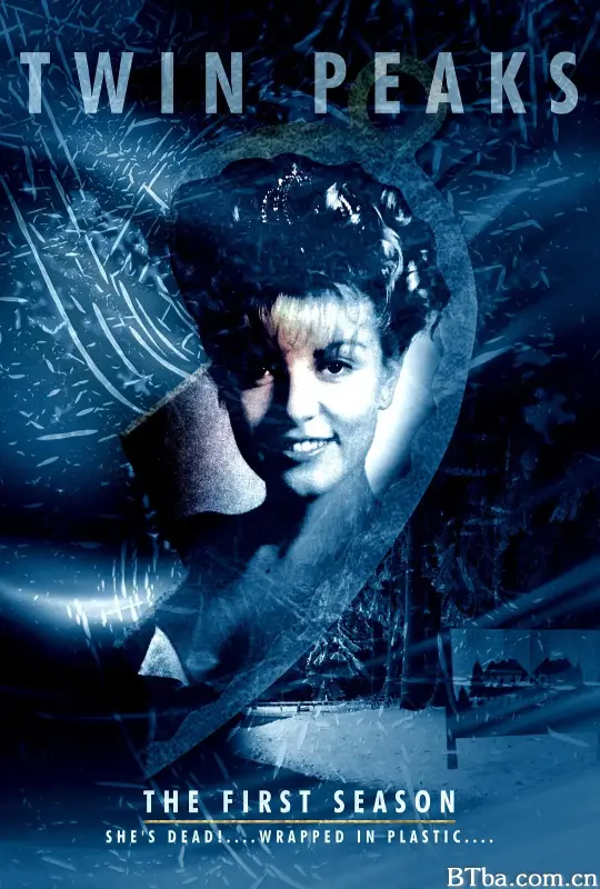 双峰 第一季/Twin Peaks Season 1