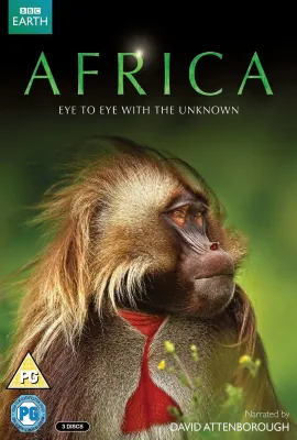 非洲/Africa