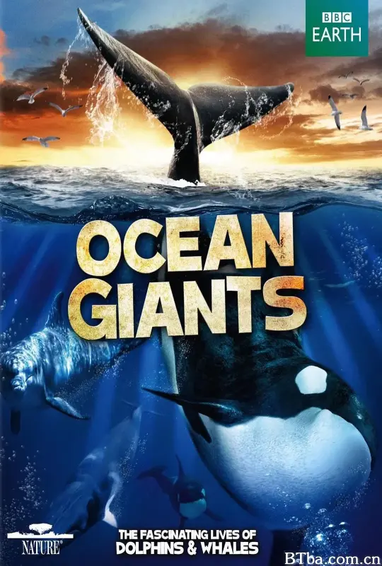 海洋巨兽/Ocean Giants