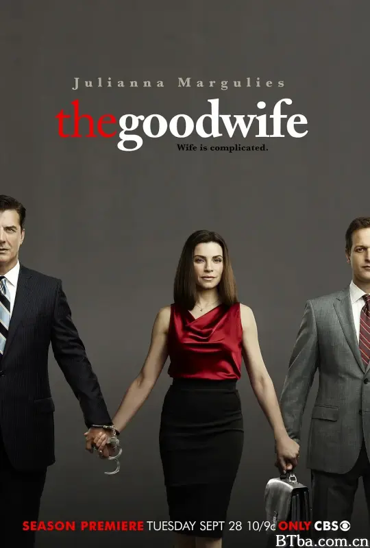 傲骨贤妻  第二季/The Good Wife Season 2