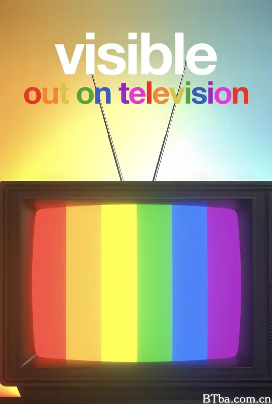 从暗到明：电视与彩虹史/Visible: Out on Television