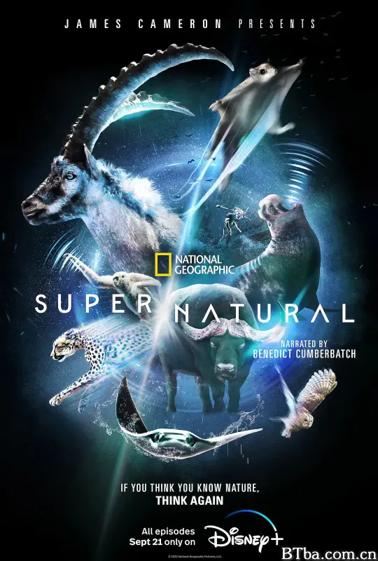 超凡动物奇观/Super/Natural