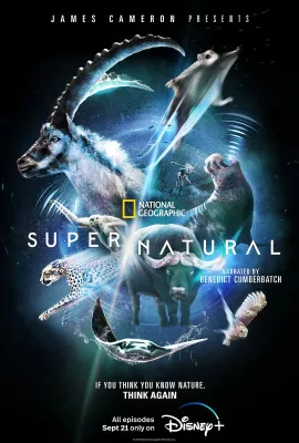 超凡动物奇观/Super/Natural