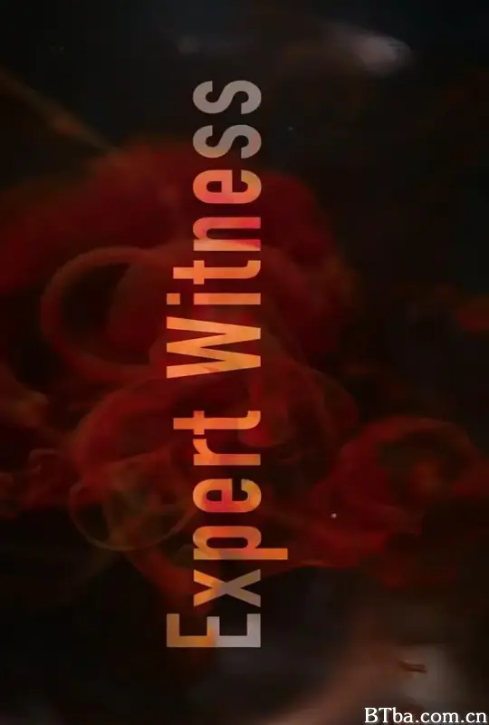 专家证人/Expert Witness