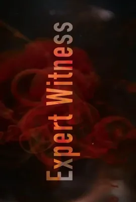 专家证人/Expert Witness