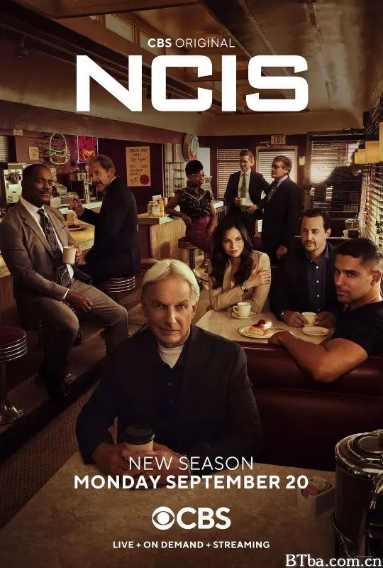 海军罪案调查处 第十九季/NCIS: Naval Criminal Investigative Service Season 19
