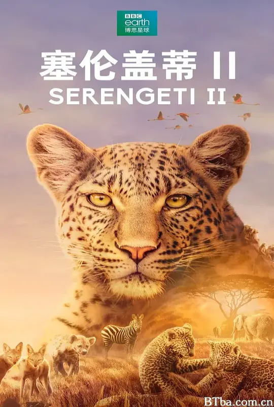 塞伦盖蒂 第二季/Serengeti Season 2