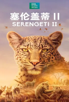 塞伦盖蒂 第二季/Serengeti Season 2