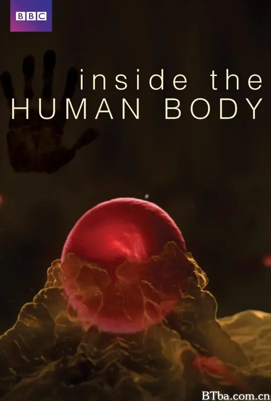 人体奥秘/Inside the Human Body