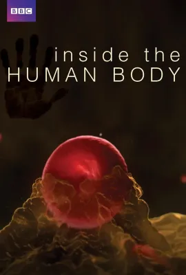 人体奥秘/Inside the Human Body