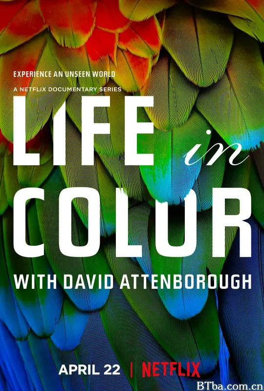 生命之色/Life In Colour