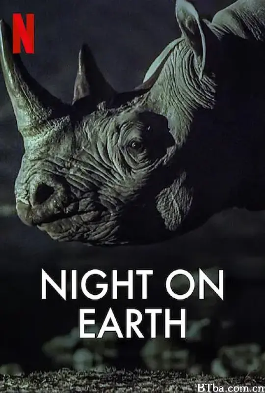 地球的夜晚/Night on Earth
