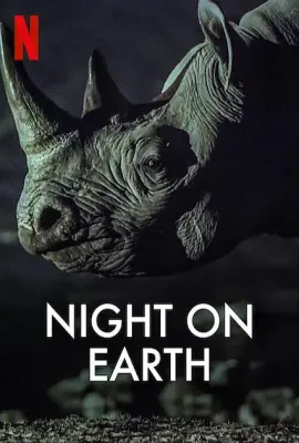 地球的夜晚/Night on Earth