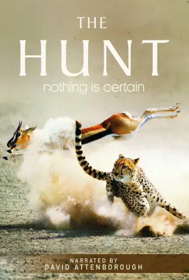 猎捕/The Hunt