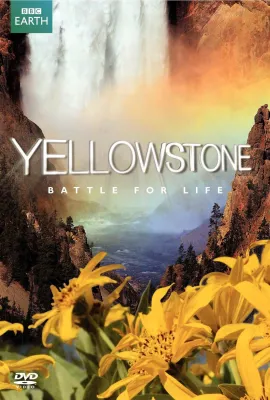 黄石公园/Yellowstone