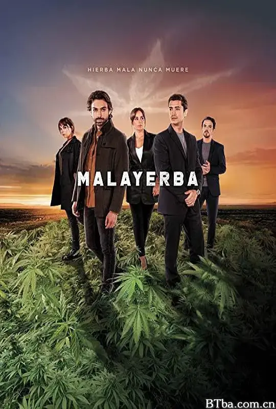 恶之草/MalaYerba