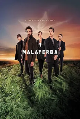 恶之草/MalaYerba