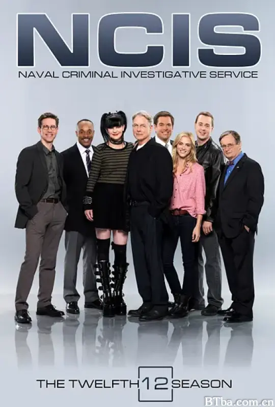 海军罪案调查处 第十二季/NCIS: Naval Criminal Investigative Service Season 12