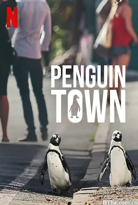 企鹅小镇/Penguin Town