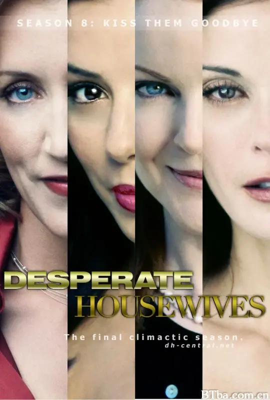 绝望主妇  第八季/Desperate Housewives Season 8