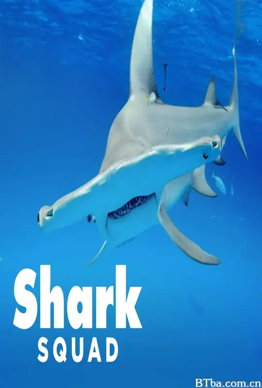 鲨鱼小队 第一季/Shark Squad Season 1