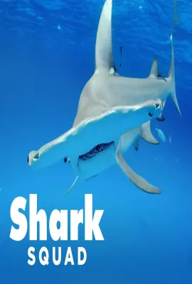 鲨鱼小队 第一季/Shark Squad Season 1