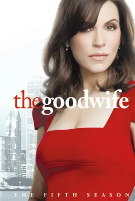 傲骨贤妻 第五季/The Good Wife Season 5