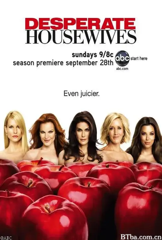 绝望主妇 第五季/Desperate Housewives Season 5