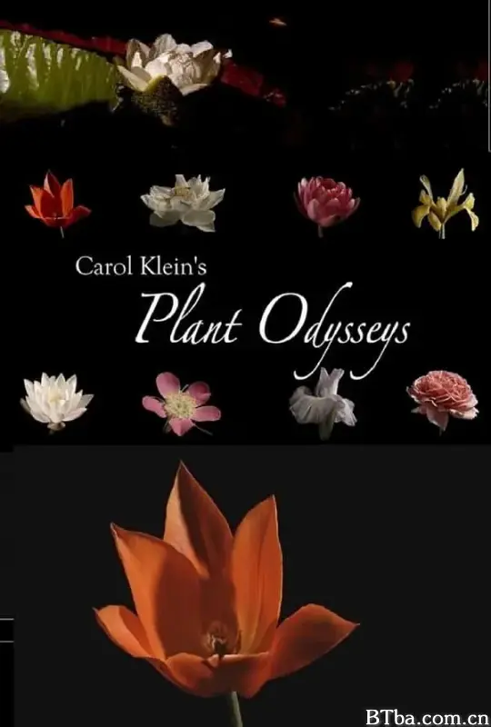 卡罗尔·克莱恩的植物巡礼/Carol Klein's Plant Odysseys