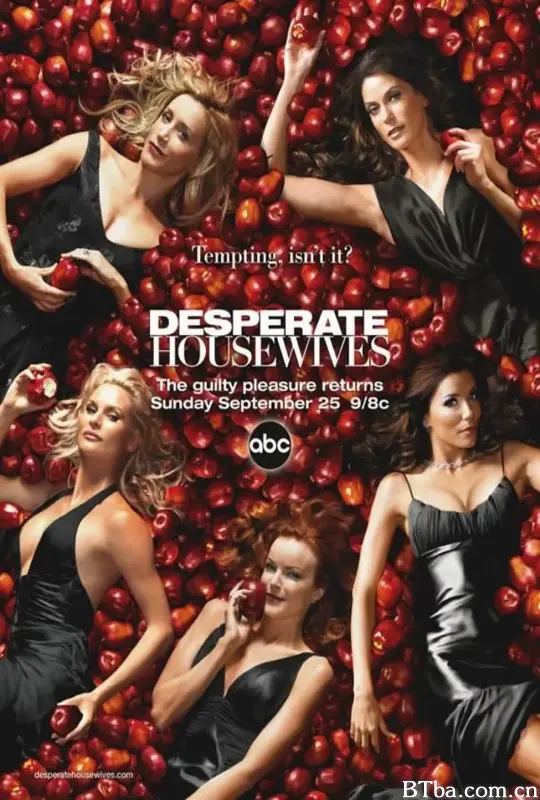 绝望主妇 第二季/Desperate Housewives Season 2