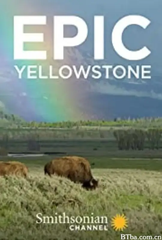 黄石公园/Epic Yellowstone