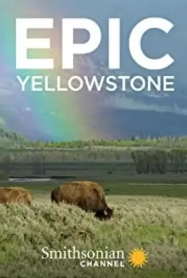 黄石公园/Epic Yellowstone