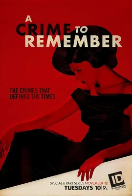 震惊罪案 第二季/A Crime to Remember Season 2