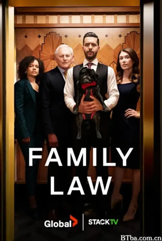 家庭法 第一季/Family Law Season 1
