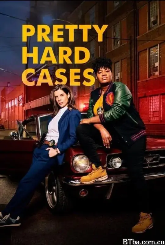 相当棘手的案件 第二季/Pretty Hard Cases Season 2