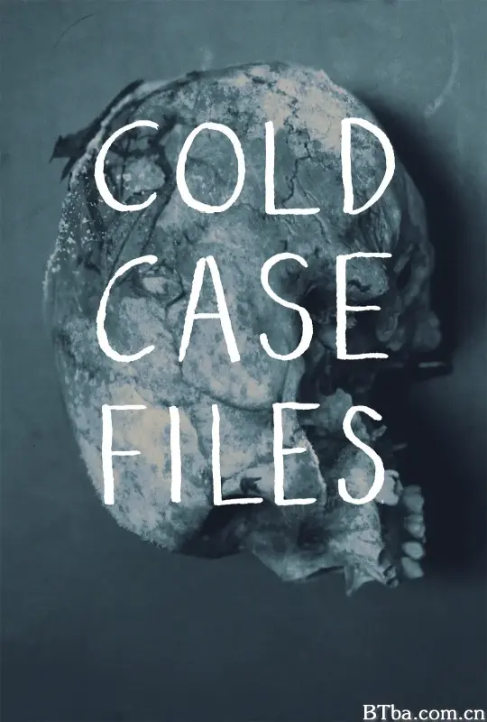 悬案档案 第一季/Cold Case Files Season 1